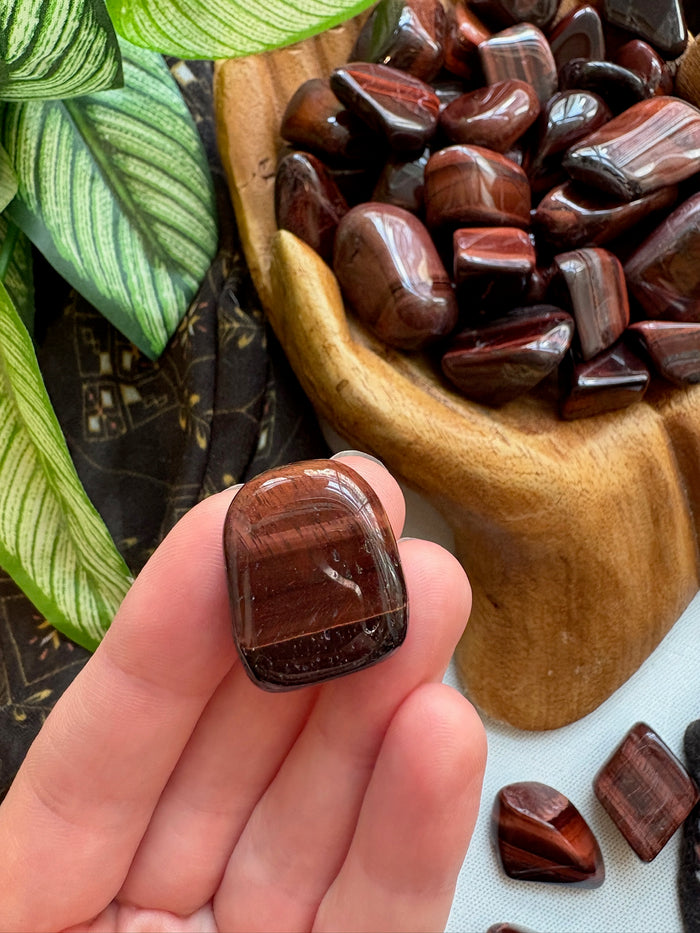 Tumbled Red Tiger's Eye for Motivation & Grounded Power