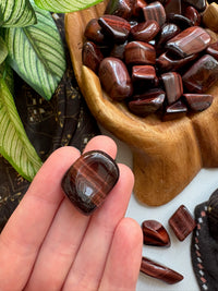 Tumbled Red Tiger's Eye for Motivation & Grounded Power