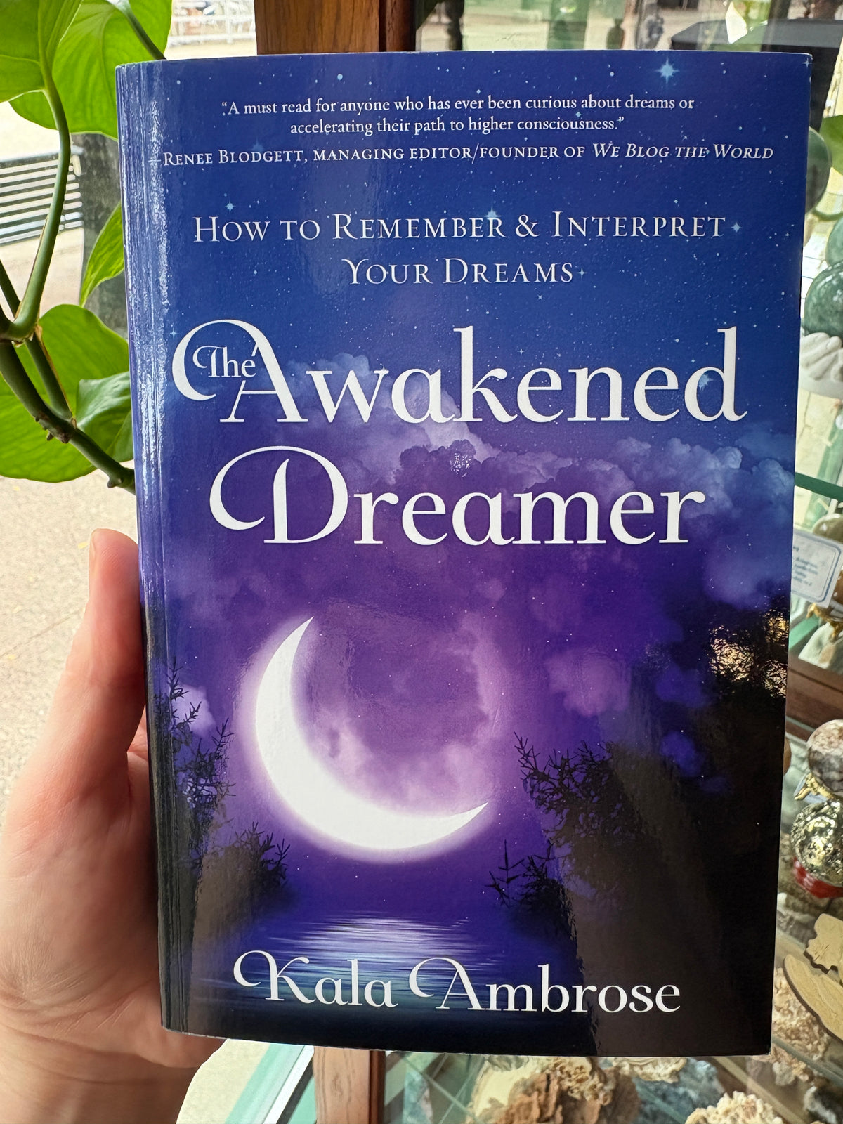 Awakened Dreamer by Kala Ambrose
