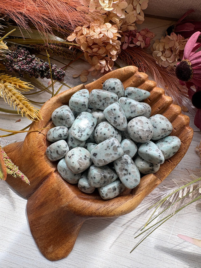 Tumbled Kiwi Jasper for Peace & Clear Communication