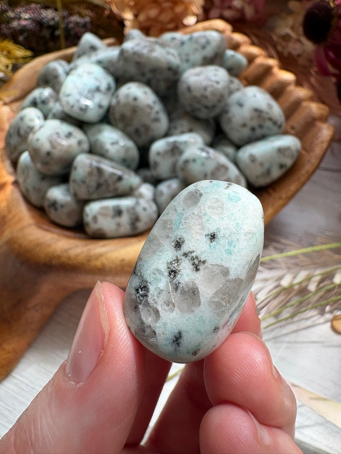 Tumbled Kiwi Jasper for Peace & Clear Communication