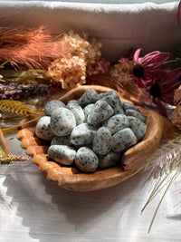 Tumbled Kiwi Jasper for Peace & Clear Communication