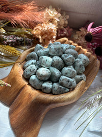 Tumbled Kiwi Jasper for Peace & Clear Communication