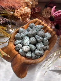 Tumbled Kiwi Jasper for Peace & Clear Communication