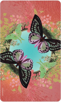 Love Who You Are Oracle Deck by Angi Sullins & Silas Toball