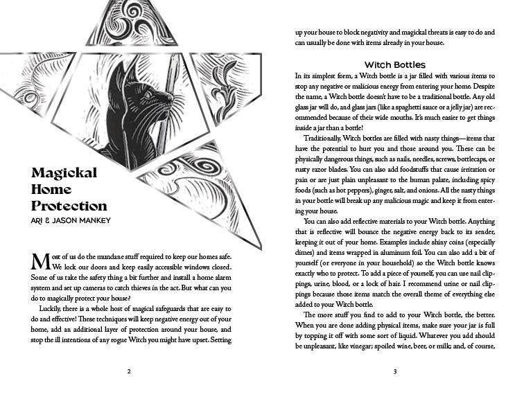 Llewellyn's 2027 Witches' Companion