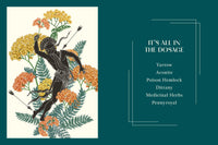 Mythic Plants by Ellen Zachos