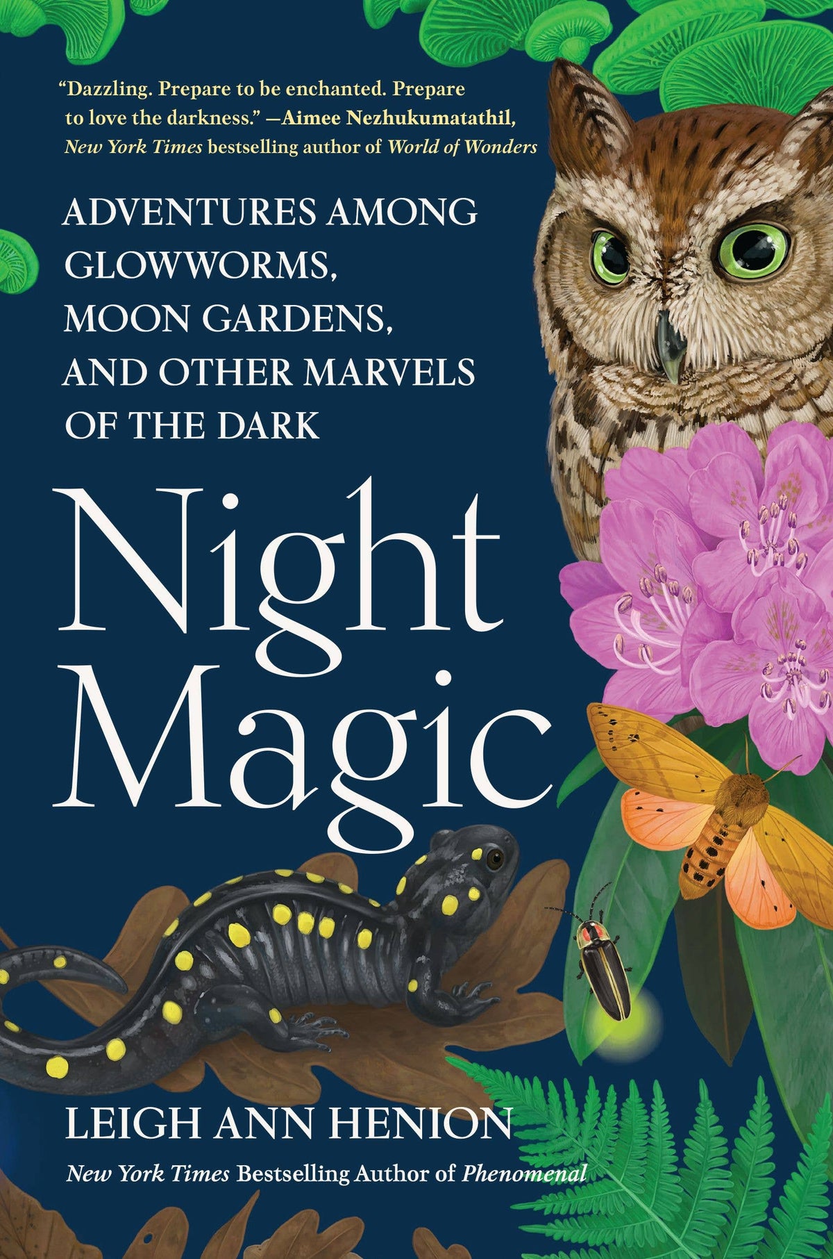 Night Magic by Leigh Ann Henion