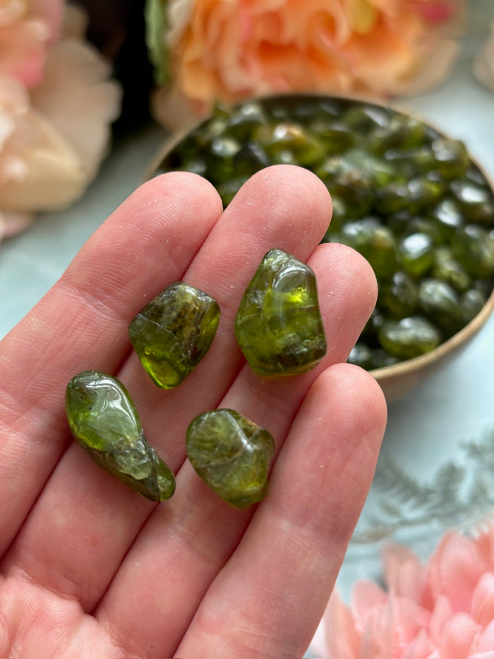 Tumbled Peridot for Abundance & New Beginnings