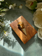 Picture Jasper Crystal Pendulum for Creative Guidance