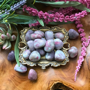 Tumbled Pink Tourmaline in Lepidolite for Tenderness