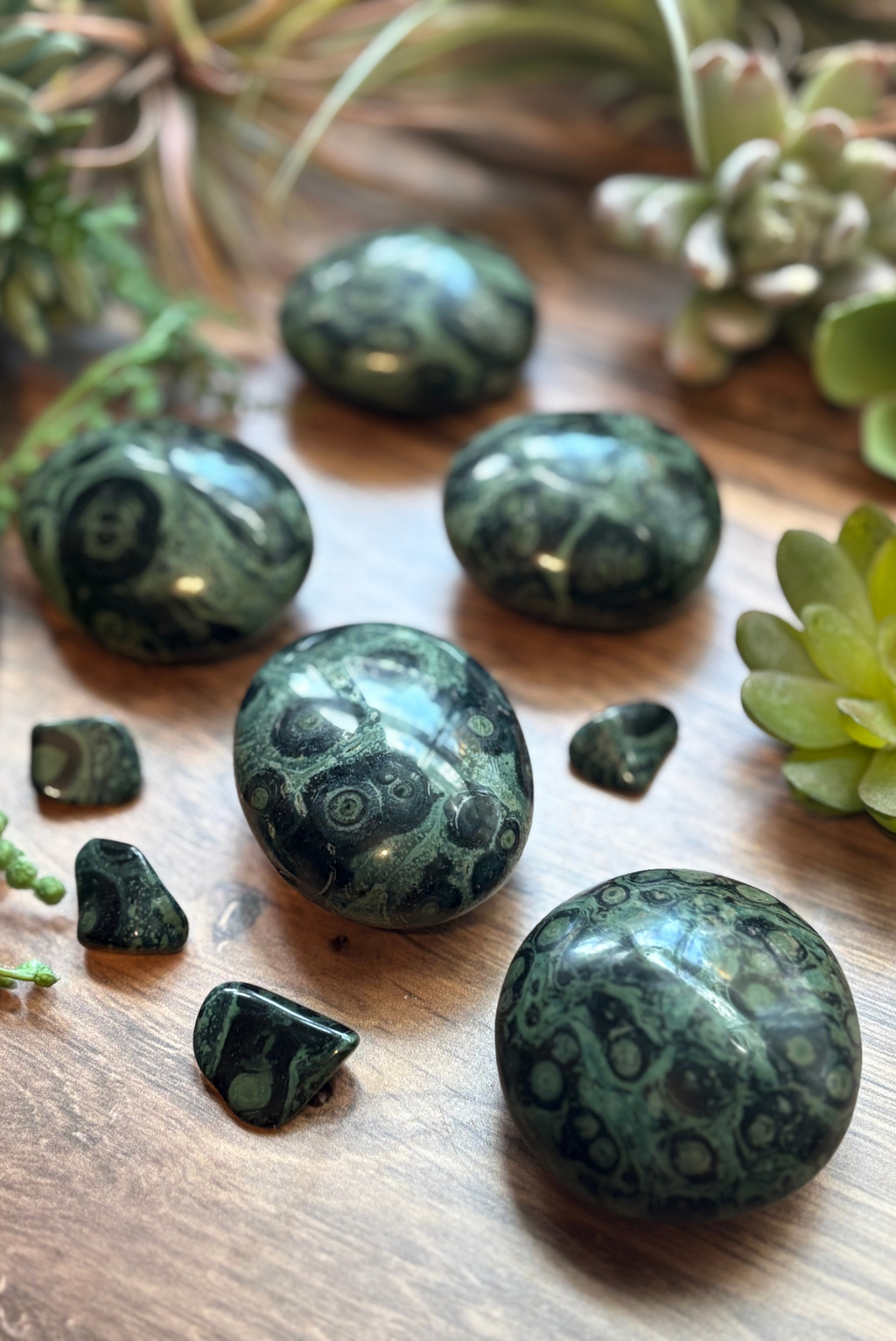 Kambaba Jasper Palm Stones for Nature & Fairy Connection