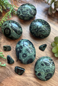 Kambaba Jasper Palm Stones for Nature & Fairy Connection