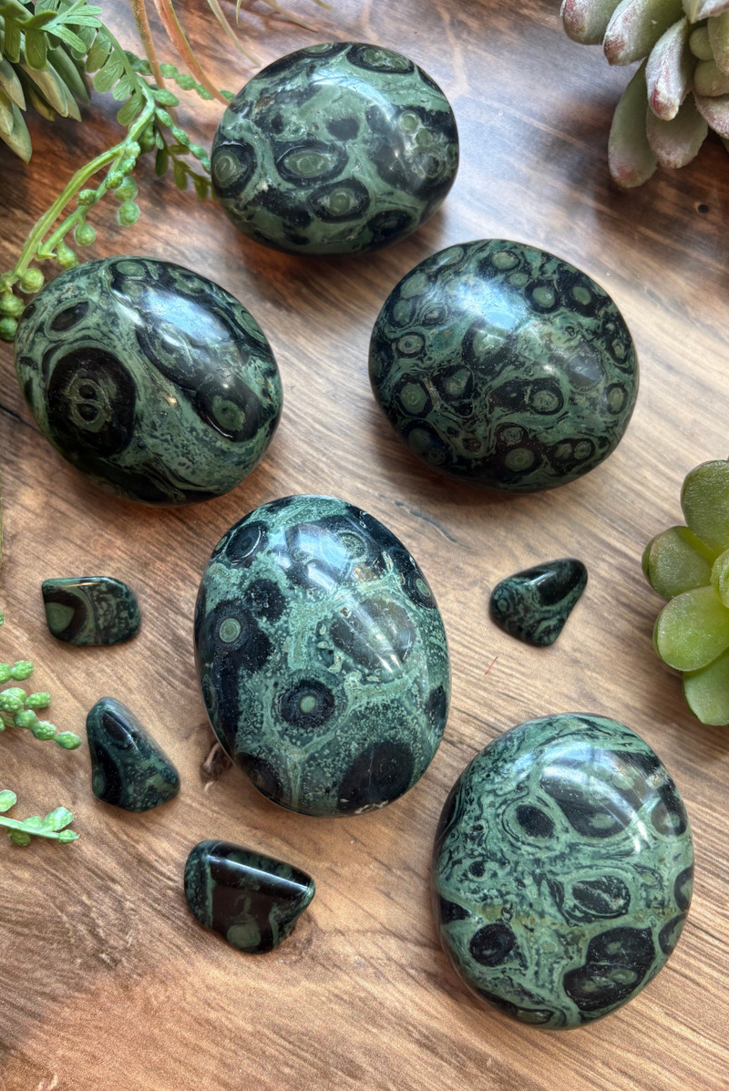Kambaba Jasper Palm Stones for Nature & Fairy Connection