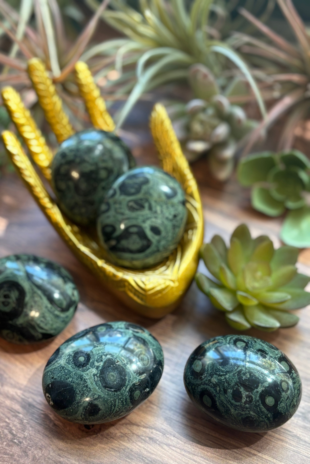 Kambaba Jasper Palm Stones for Nature & Fairy Connection