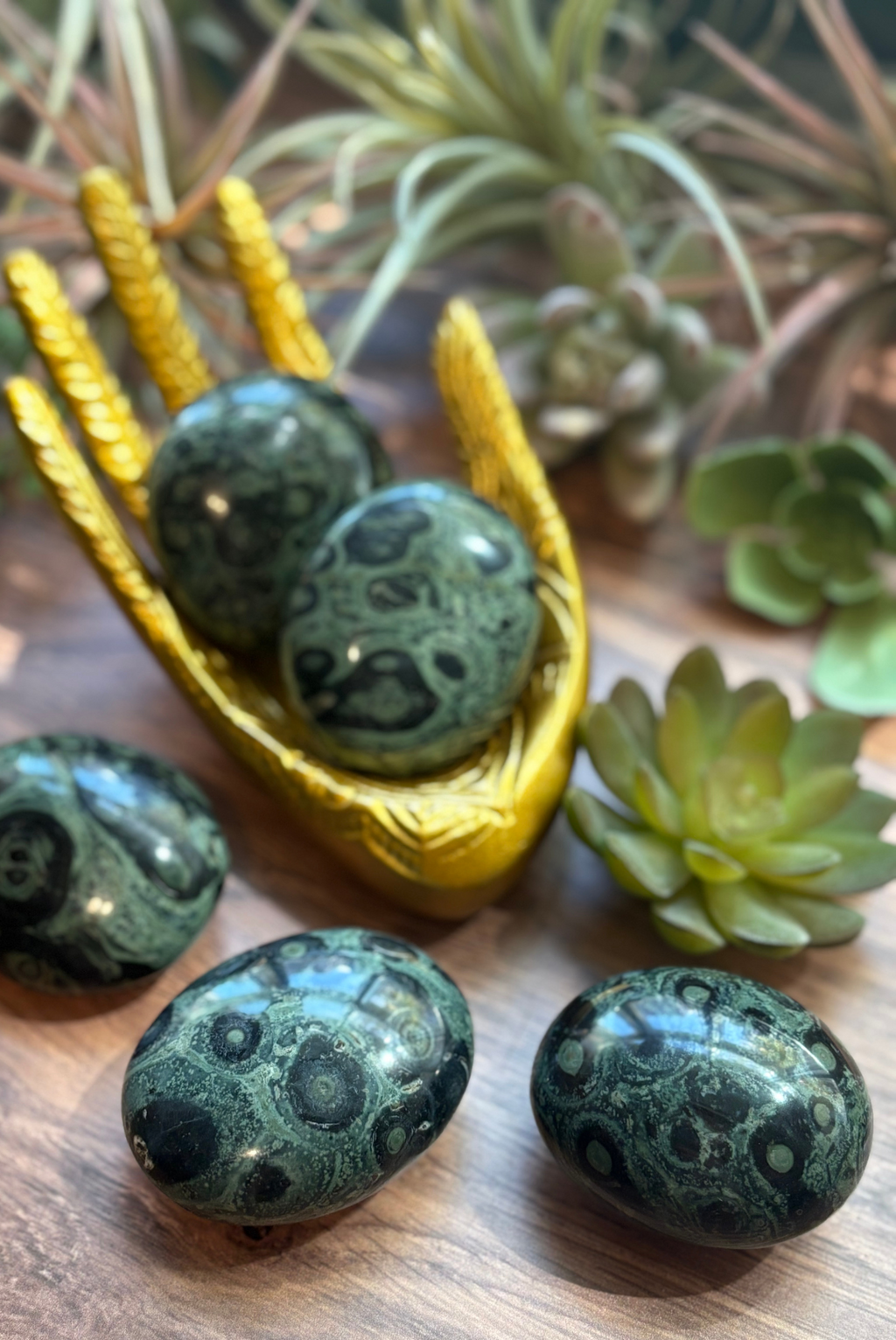 Kambaba Jasper Palm Stones for Nature & Fairy Connection