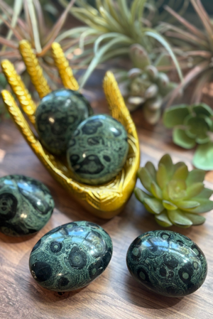 Kambaba Jasper Palm Stones for Nature & Fairy Connection