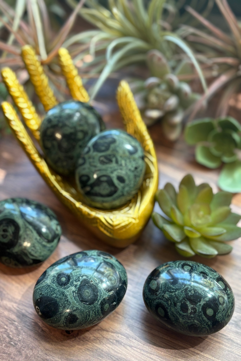 Kambaba Jasper Palm Stones for Nature & Fairy Connection