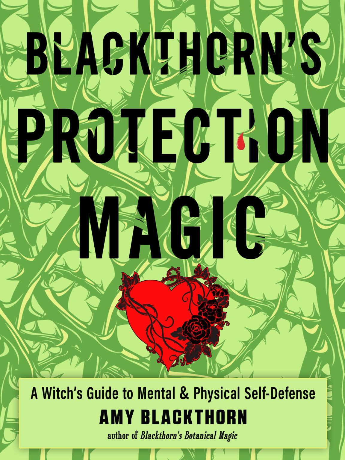 Blackthorn's Protection Magic by Amy Blackthorne