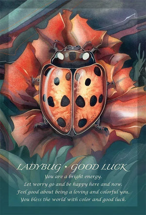 Spirit of the Animals Oracle by Jody Bergsma