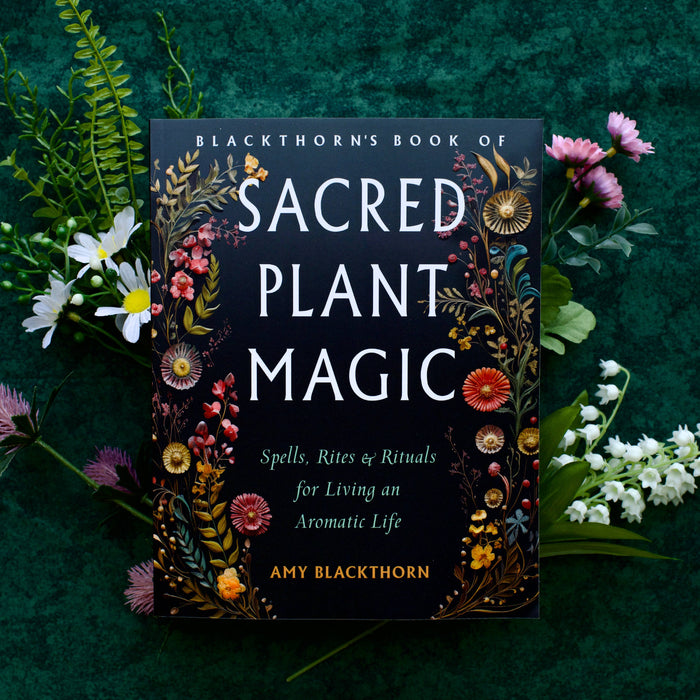 Blackthorn's Book of Sacred Plant Magic by Amy Blackthorn