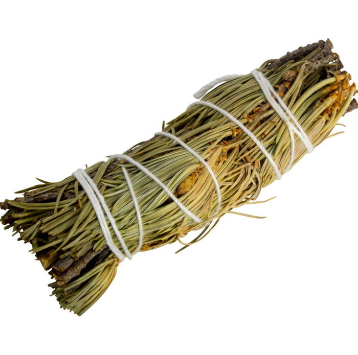 Pine Herbal Bundle for Resolve