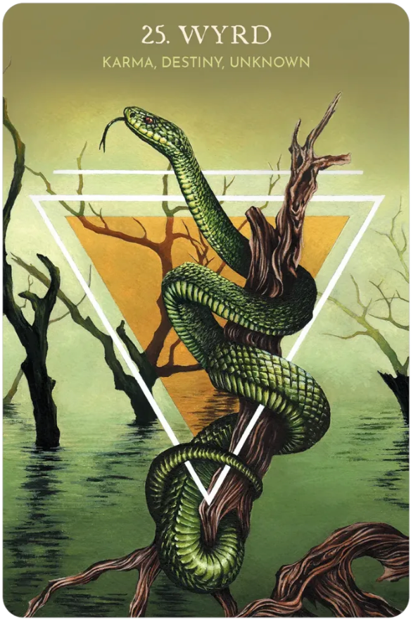 Animal Guide Rune Cards by Dawid Lipka & Bartosz Mazik