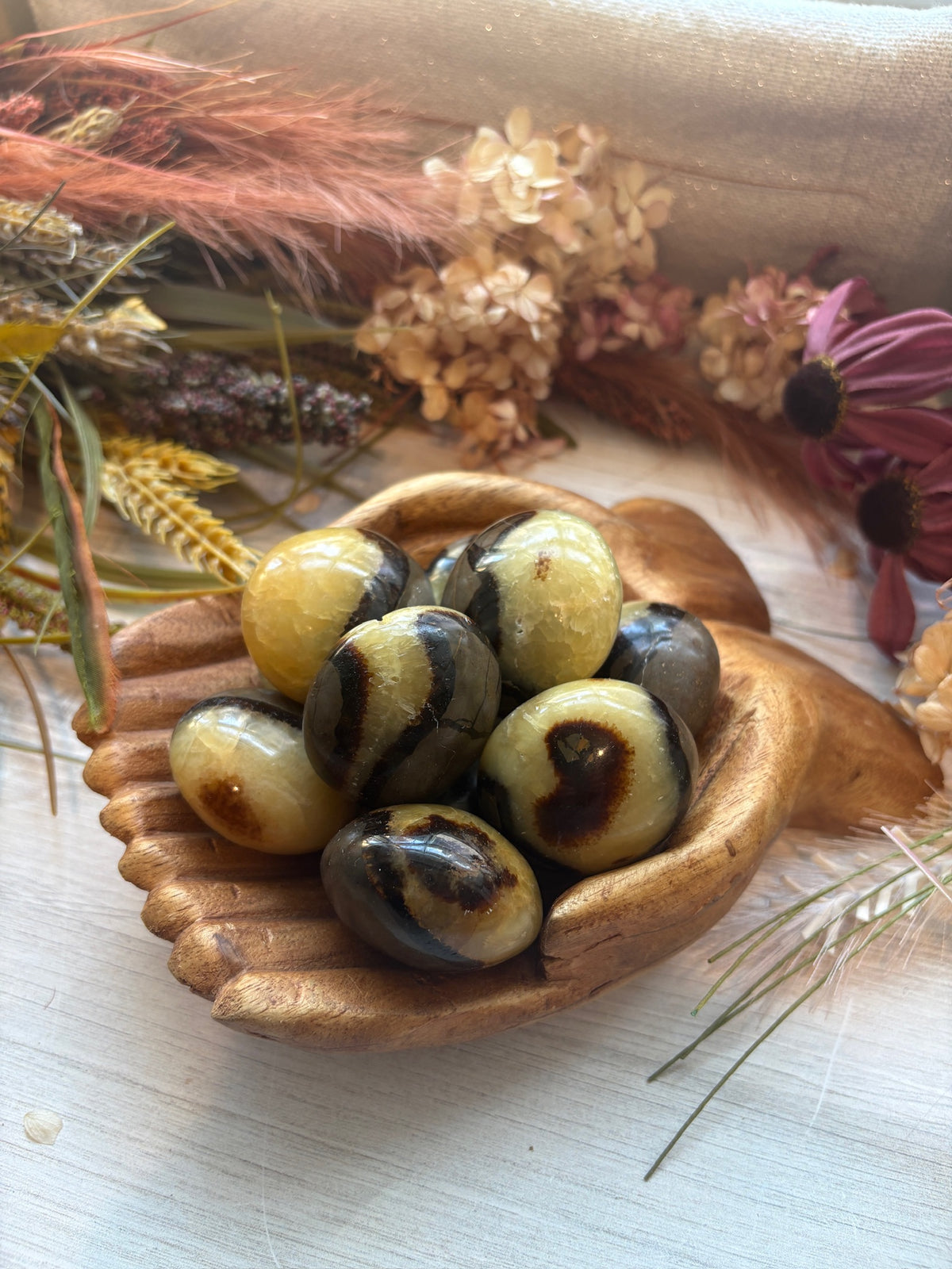 Septarian Palm Stones for Calming & Tranquility