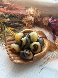 Septarian Palm Stones for Calming & Tranquility