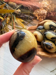 Septarian Palm Stones for Calming & Tranquility