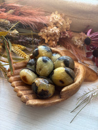 Septarian Palm Stones for Calming & Tranquility