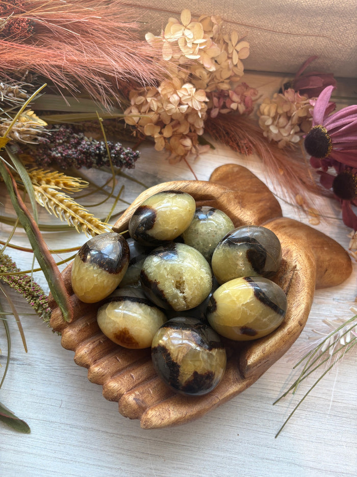 Septarian Palm Stones for Calming & Tranquility