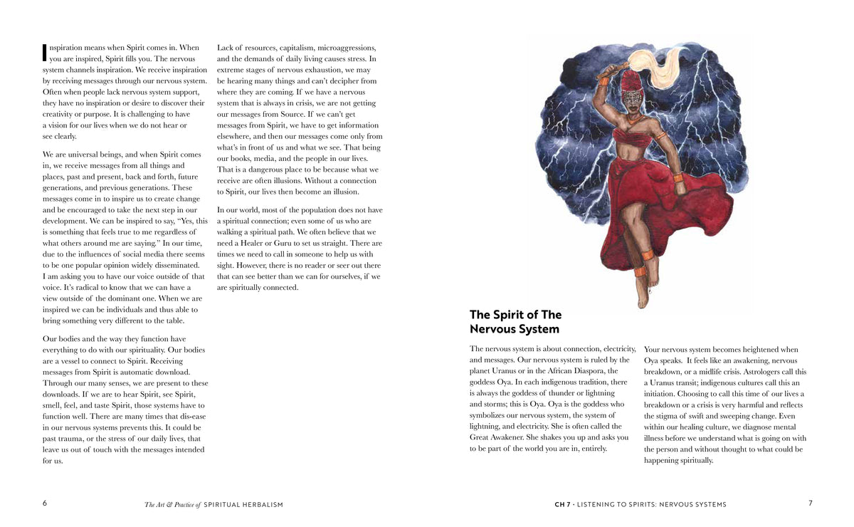 Art & Practice of Spiritual Herbalism by Karen M. Rose