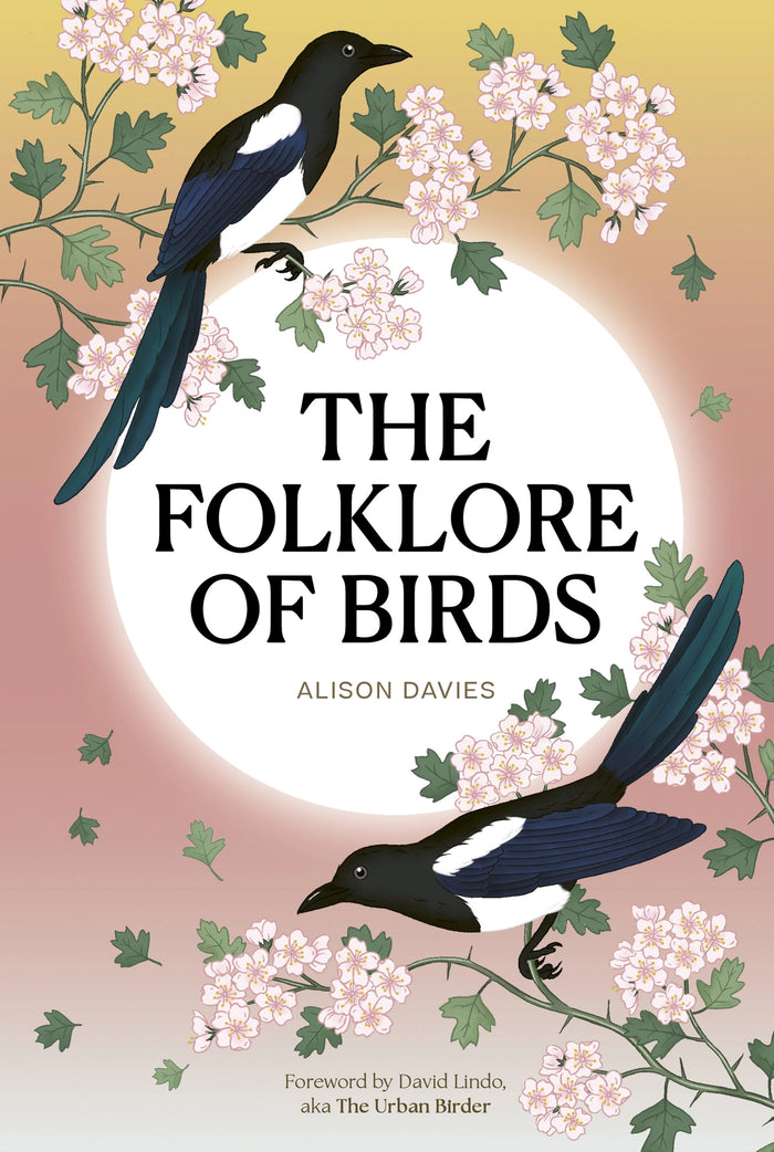 Folklore Of Birds by Alison Davies