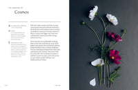 Healing Power of Flowers by Claire Bowen