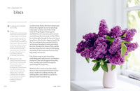 Healing Power of Flowers by Claire Bowen