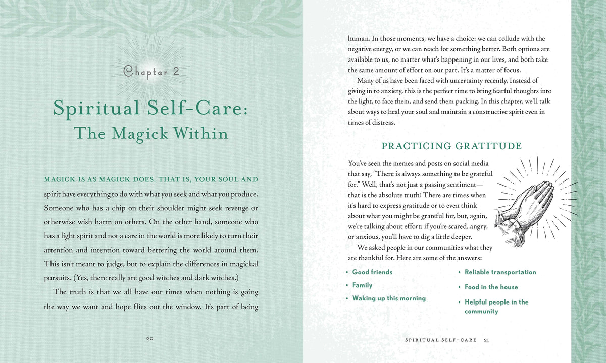 Holistic Witch by Shawn Robbins and Leanna Greenaway