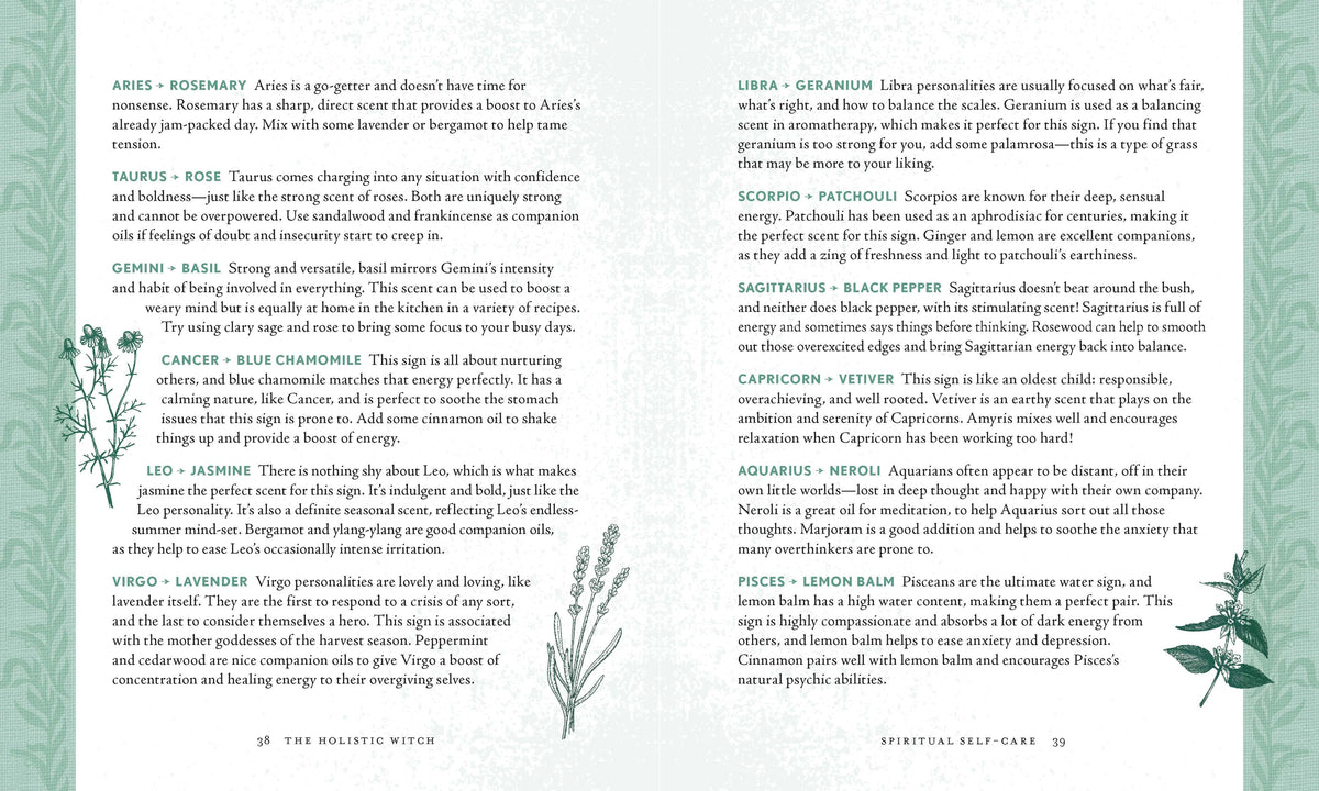 Holistic Witch by Shawn Robbins and Leanna Greenaway