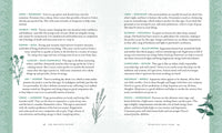 Holistic Witch by Shawn Robbins and Leanna Greenaway
