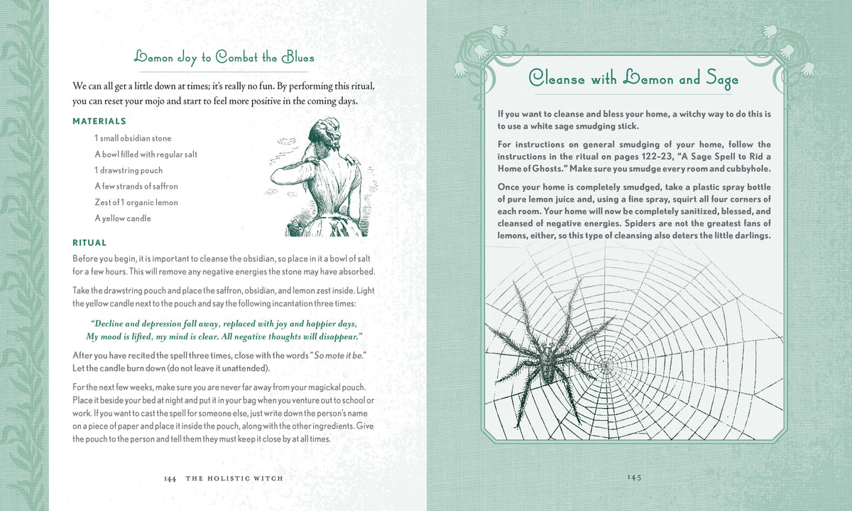 Holistic Witch by Shawn Robbins and Leanna Greenaway