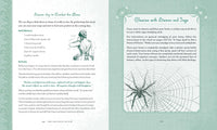Holistic Witch by Shawn Robbins and Leanna Greenaway