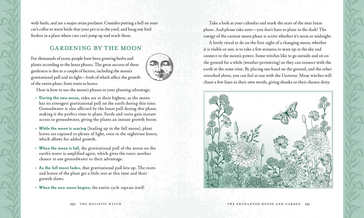 Holistic Witch by Shawn Robbins and Leanna Greenaway