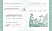 Holistic Witch by Shawn Robbins and Leanna Greenaway
