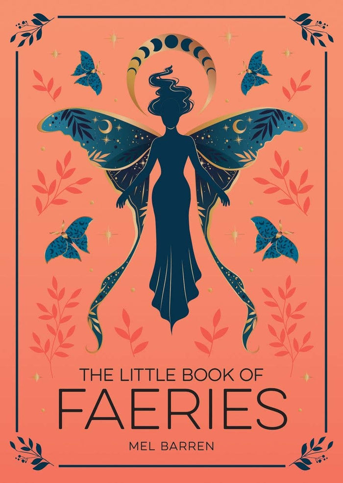 Little Book of Faeries by Mel Barren