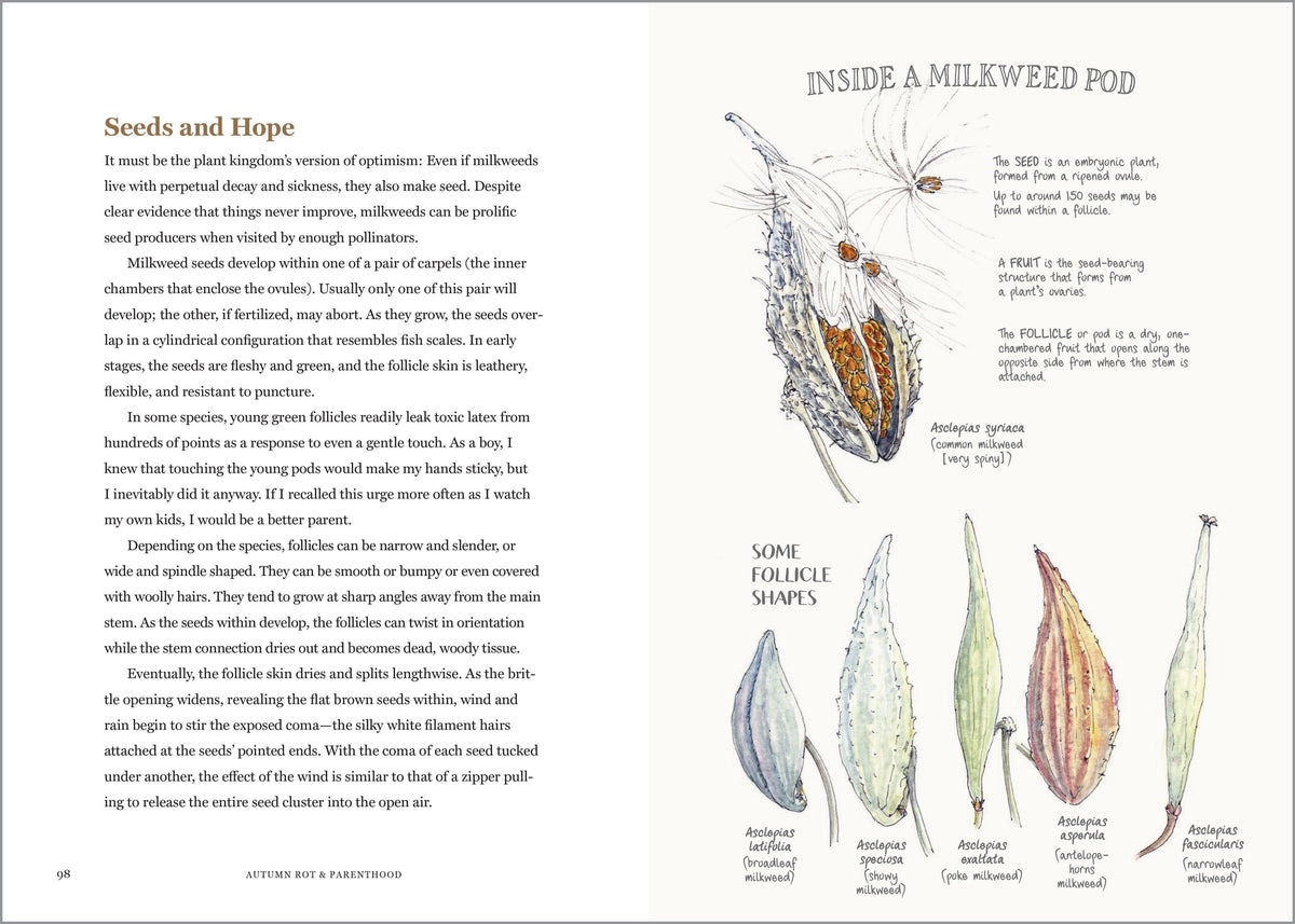 Milkweed Lands by Eric Lee-Mäder