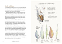 Milkweed Lands by Eric Lee-Mäder