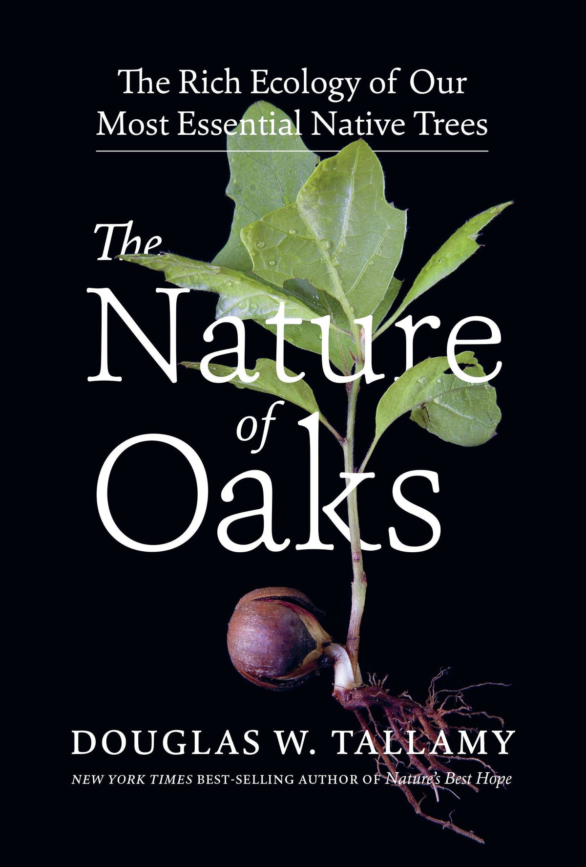 Nature of Oaks by Douglas W. Tallamy