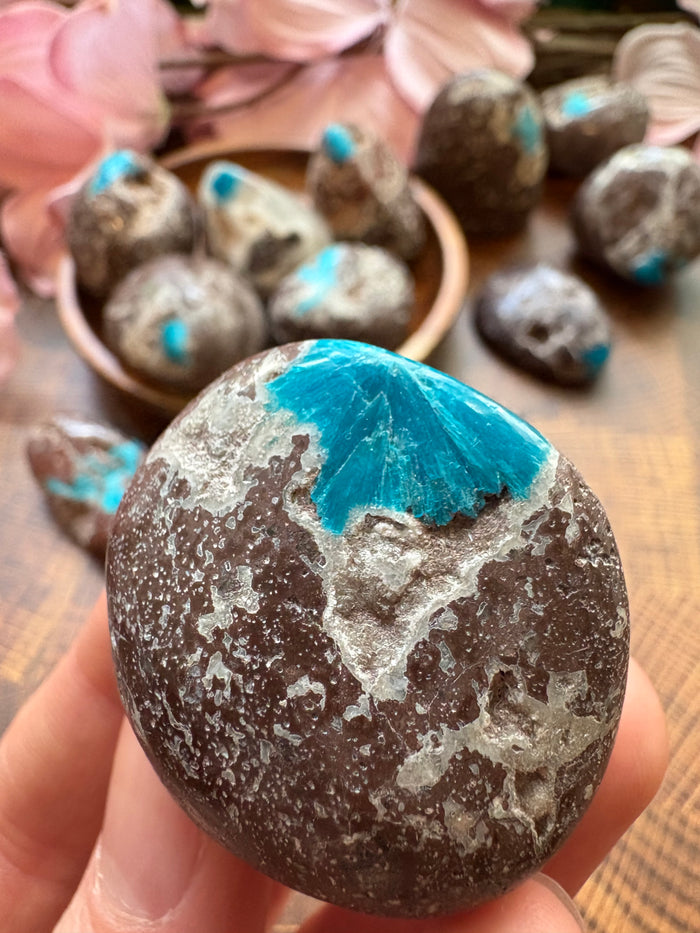 Tumbled Cavansite for Spiritual Direction