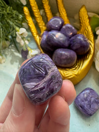 Tumbled Charoite for Working with the Past