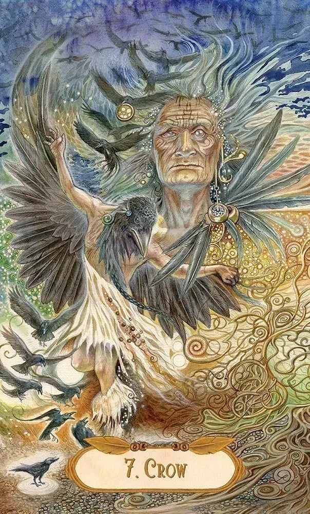 Winged Enchantment Oracle Deck by Lesley Morrison and Lisa Hunt
